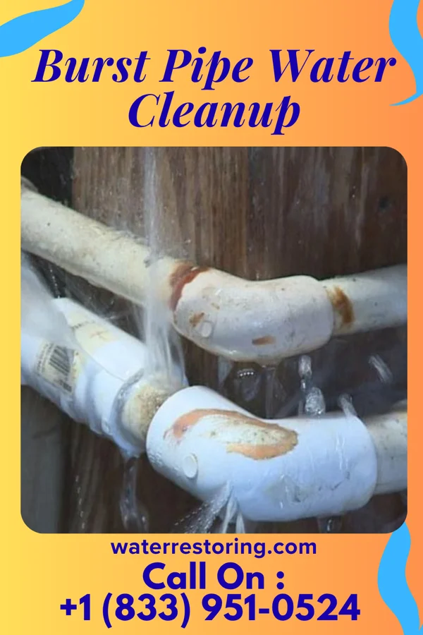Burst Pipe Water Cleanup in Cedar Hills, OR