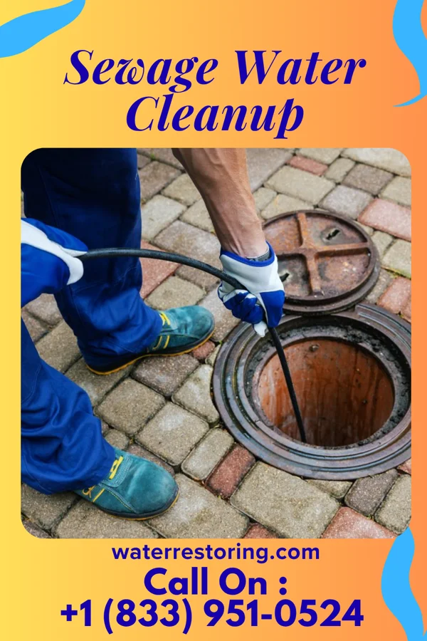 Sewage Water Cleanup in Cedar Hills, OR